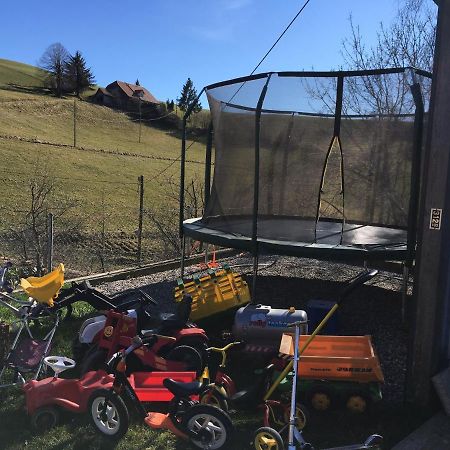 3,5 Zimmerferienwohnung Schwalbenaescht Rueeggisberg Экстерьер фото