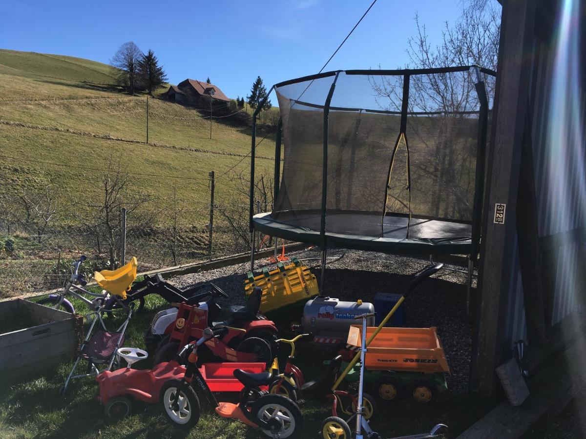 3,5 Zimmerferienwohnung Schwalbenaescht Rueeggisberg Экстерьер фото